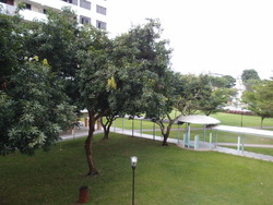Blk 17 Eunos Crescent (Geylang), HDB 3 Rooms #172830242